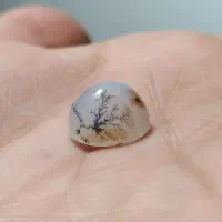 ۵۵ عدد سنگ شجر قائنات