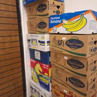 ۱۶ عدد جعبه موز کاملا سالم