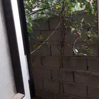 فروش خانه ویلای|فروش خانه و ویلا|دوزین, |دیوار