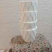 گلدان سرامیکی و پلاستیکی|گل و گیاه طبیعی|قم, باجک سه|دیوار