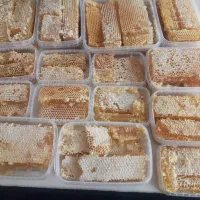 عسل طبیعی چهل گیاه خراسان شمالی