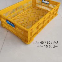 سبد|ظروف نگهدارنده، پلاستیکی، یک‌بارمصرف|تبریز, |دیوار