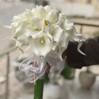 انواع دسته گل عروس لاله  و شیپوری ترند این روزا|گل مصنوعی|کرمان, |دیوار