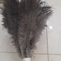 فروش پر گردگیری