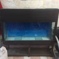 آکواریوم سالم و قیمت مناسب