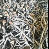 خرید انواع چوب با قیمت مناسب