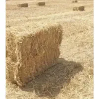 پرس جو