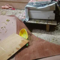 تخته تخت دونفره|تخت و سرویس خواب|ارومیه, |دیوار