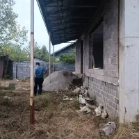 خانه ویلایی با ویو جنگل|فروش خانه و ویلا|املش, |دیوار