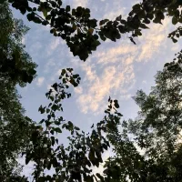 نیازمند خریدار گوشی یا لوازم خونه برای وام