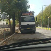 خرید چوب باغی|خدمات باغبانی و درختکاری|شیراز, گویم|دیوار