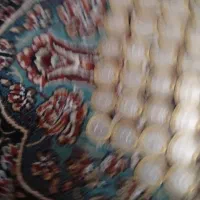 سکه|کلکسیون سکه، تمبر، اسکناس|شیراز, شهرک گلدشت حافظ|دیوار