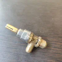 کارگر ساده آقا