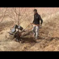 پاکنی دور درخت و کود دهی باغات مرکبات