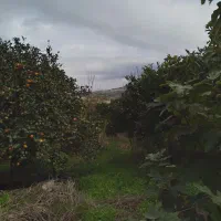 فروش یک قطعه زمین تجاری مسکونی به متراژ ۵۶۰ متر|فروش زمین و ملک کلنگی|خلیل شهر, |دیوار