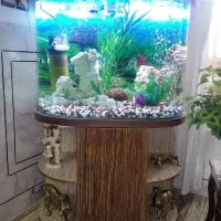 آکواریوم شیشه خم