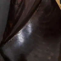 یک عدد تار قدیمی/کلکسیونی