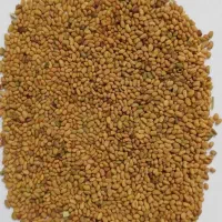 بذریونجه درجه یک بوجاری شده