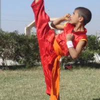 آموزش ووشو شائولین