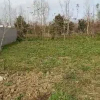 فروش-یا-معاوضه-زمین-مسکونی-در-شمال-ماسال