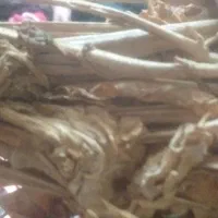 برگ کاهو خشک