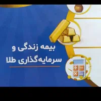 بیمه عمر و سرمایه گذاری بر پایه طلا