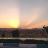 طلا