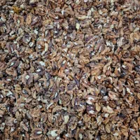 مغز گردو|خوردنی و آشامیدنی|رشت, دباغیان|دیوار