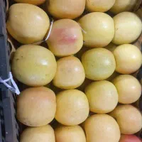 کارگرساده برای میوه فروشی درشهریار