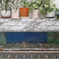 آکواریوم با تجهیزات کامل