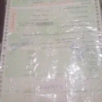 سلام دوستان عزیز برگ سبز پراید گمشده