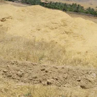 کاه گندم  گلرنگ جو لوبیا یونجه