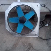 فن بزرگ سالم