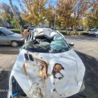 ماشین ۲۰۶ sd v8|خودرو سواری و وانت|بجنورد, |دیوار