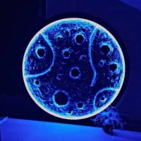 تابلو نورانی ماه روز مرد ولنتاین