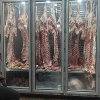 دو عدد یخچال فروشگاه و قصابی