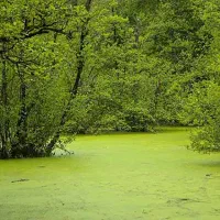 ویلا شهرکی نگهبانی24ساعته انشعابات وصل کلید نخورده