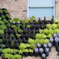 گلدان دیوار سبز برند skale