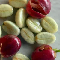 آموزش مهارت های باریستایی و بارتندری