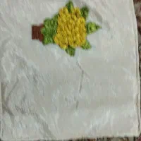 رو باشی ها فروشی