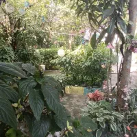 ۵۰۰متر باغ ویلای قدیمی/تک برگ سند/تاپ لوکیشن