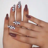 کاشت وترمیم