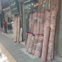 قرش