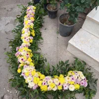 دورچینی سنگ مزاررایگان