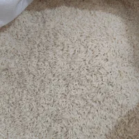 فروش برنج