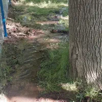 باغ-در-قرمزگل-با-وی-ابدی-کنار-جاده