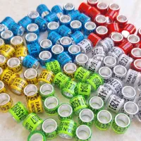 کبوتر پلاکی مسافتی المانی مسابقه پلاک گرفتنی