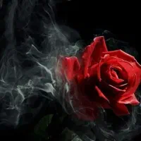 راهنمای