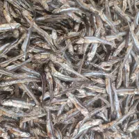 پیکپ برای بار کاشخ دارم