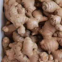 زنجبیل وزرد چوبه درجه یک